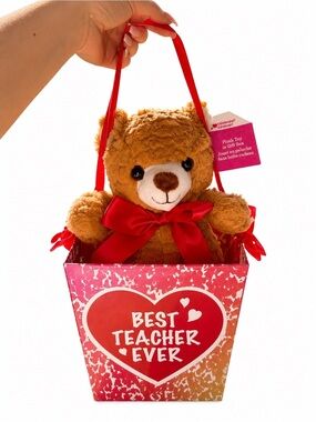 🧸 2/$45 NWT School Year Teacher Gift Plush Bear Keepsake Gift Bucket